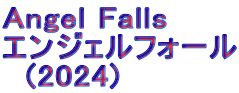 Angel Falls エンジェルフォール   (2024)